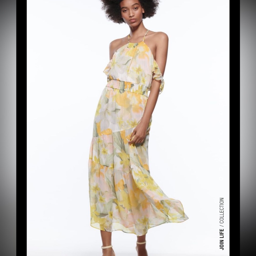 Zara Metallic Thread Printed Dress
